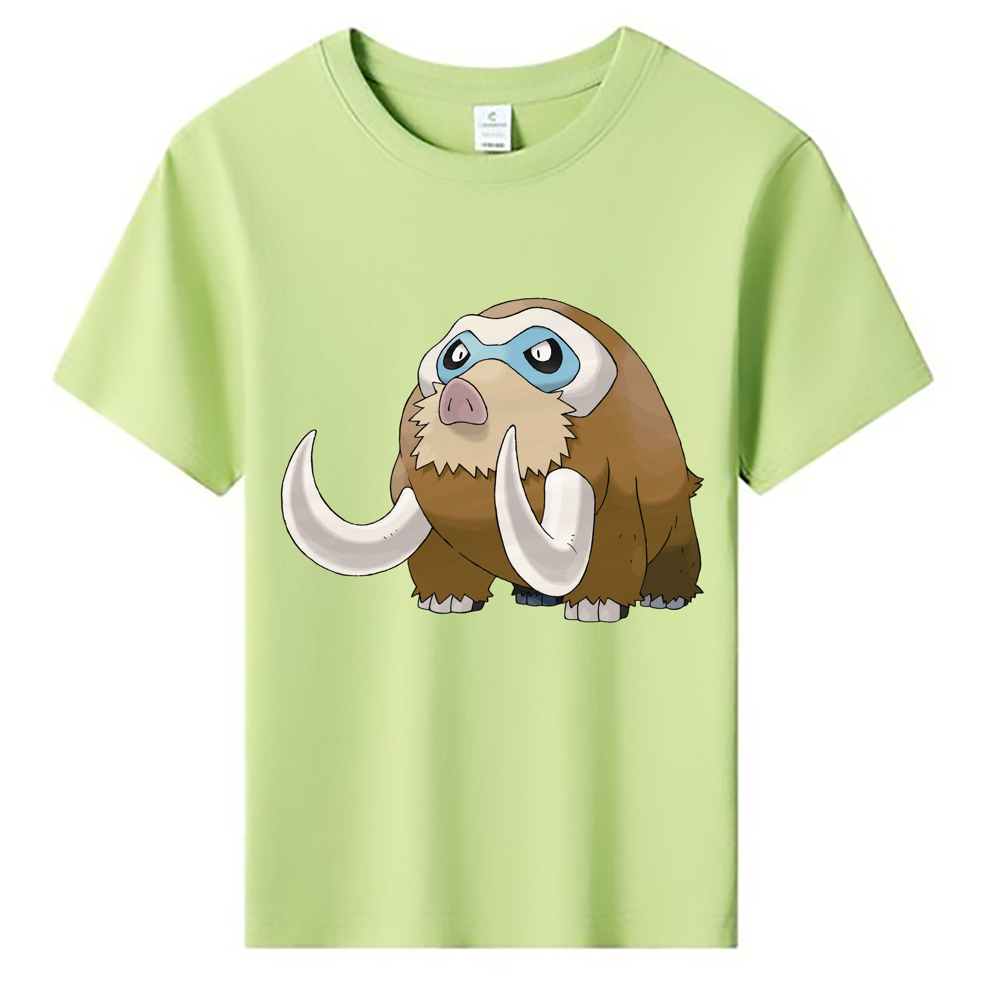 （画像用） ポケットモンスター Pokémon 綿100％キッズTシャツ（フロントプリント）